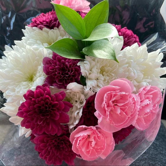 Meet your Posher, Emily - Picture 1 of 1